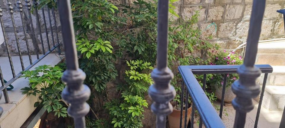Bed & Breakfast Dionis Vis Luaran gambar